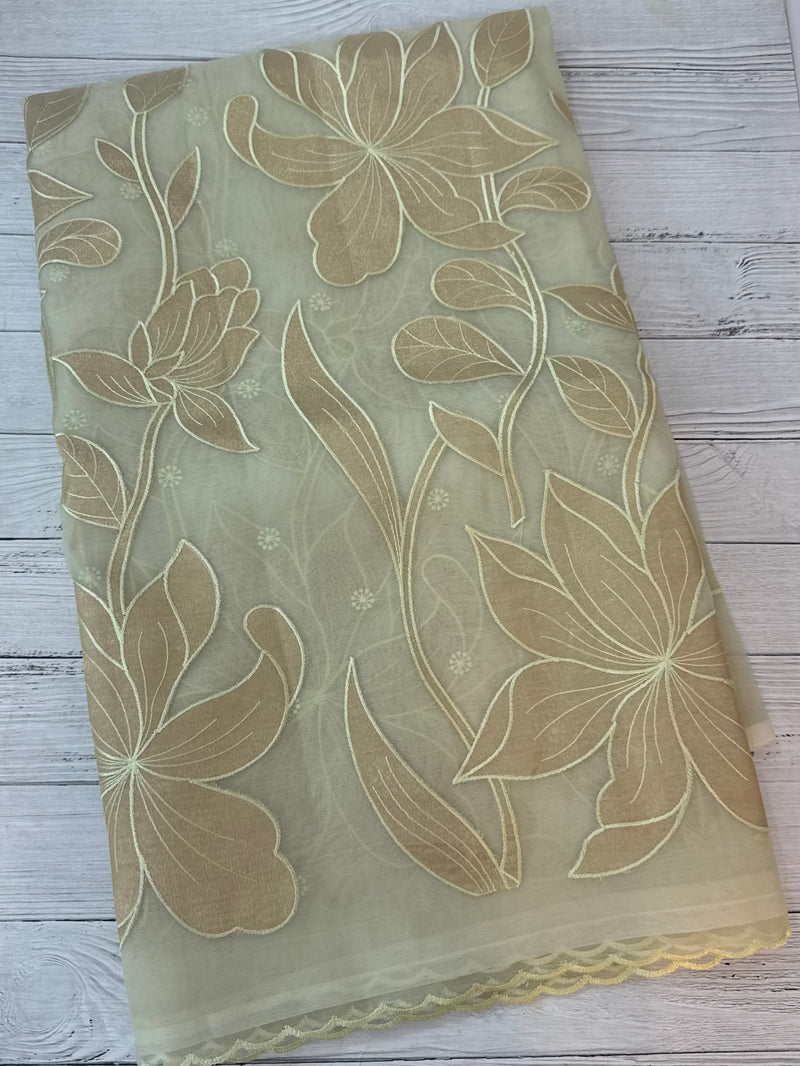 Organza saree with tissue applique work MS5081- PastelDuskyGreen