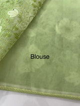 Semi organza saree with applqiue work - MSH256