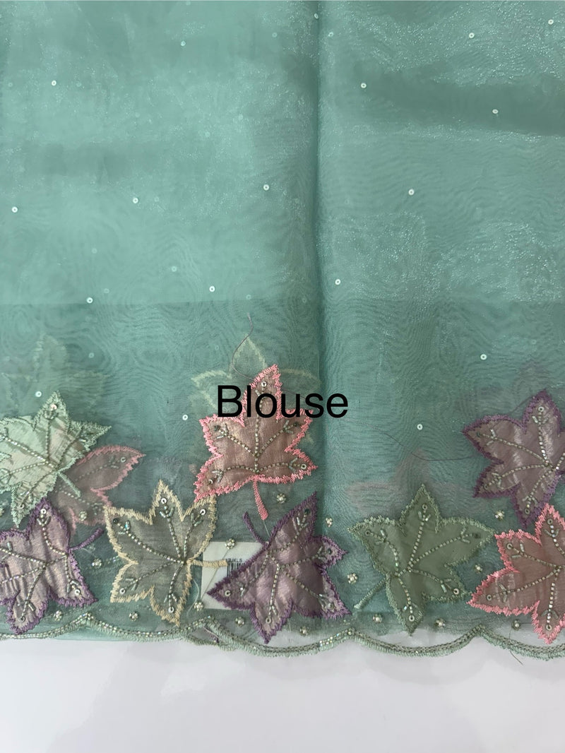 Handworked glass organza saree with applique work- MSHW227- BlueGreen