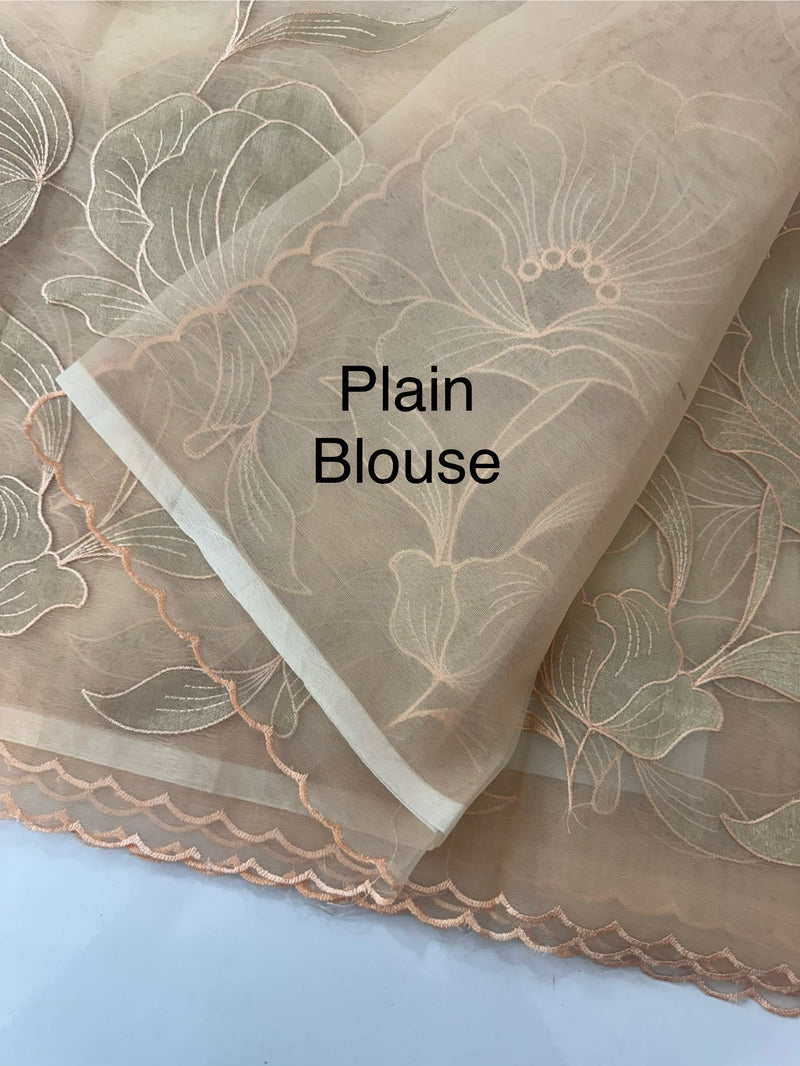 Organza saree with tissue applique work MS5081- Pastel DuskyPeach