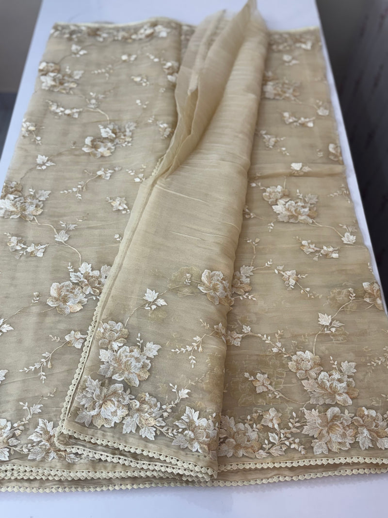 Tissue Organza saree with thread work  MS14931 - Beige
