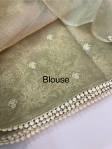 Digital printed Tissue silk saree with Chikankari embroidery MS88786