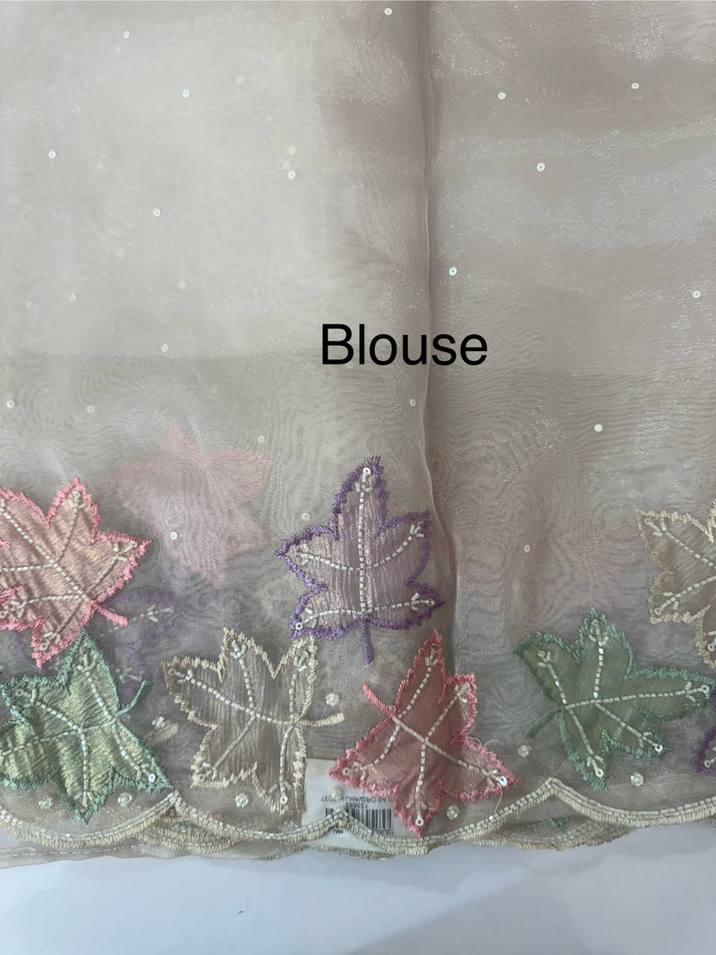 Handworked glass organza saree with applique work- MSHW227 - Beige