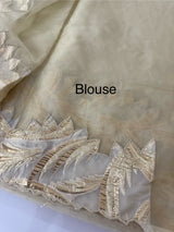 Soft Turkish Organza saree MSOS101