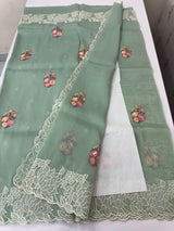 Soft crush Organza saree with embroidery and applique work MS14764 PastelAquaBlue