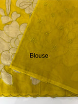 Double shade Semi organza saree with appliqué work - MSH949