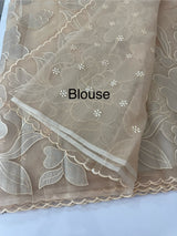 Organza saree with tissue applique work MS5081- Pastel DuskyPeach