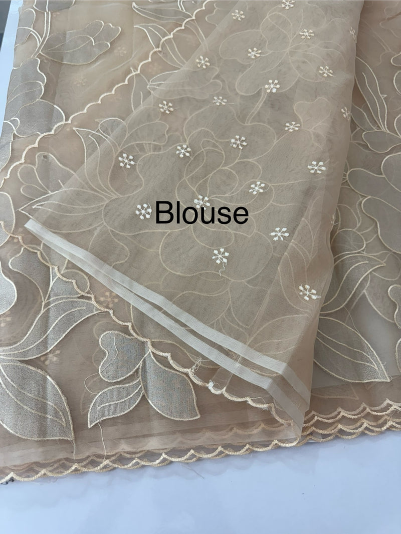 Organza saree with tissue applique work MS5081- Pastel DuskyPeach