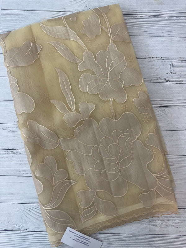 Organza saree with tissue applique work MS5081- Beige