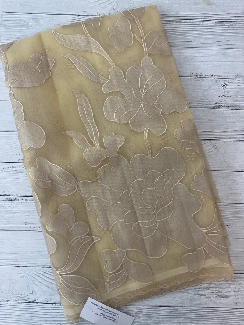 Organza saree with tissue applique work MS5081- Beige