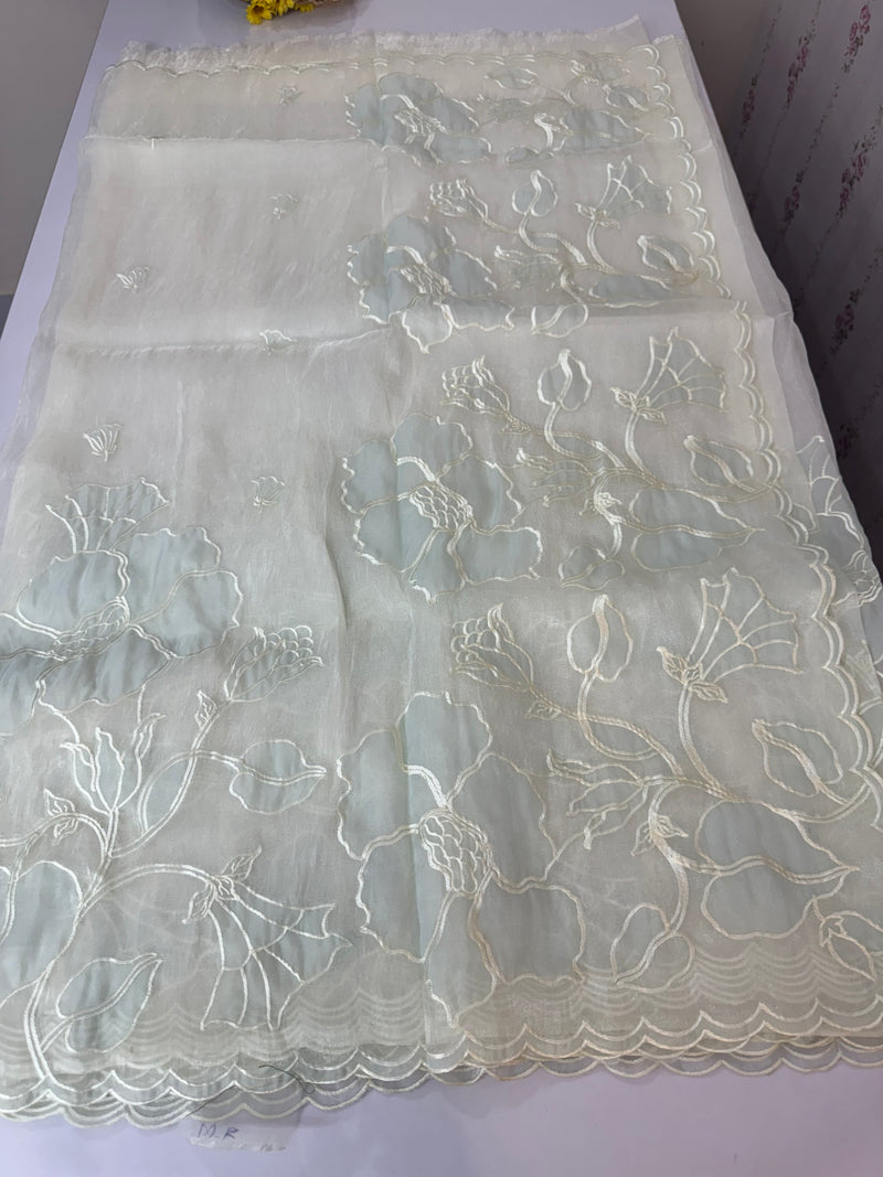 Tissue Organza Applique work saree MS15203