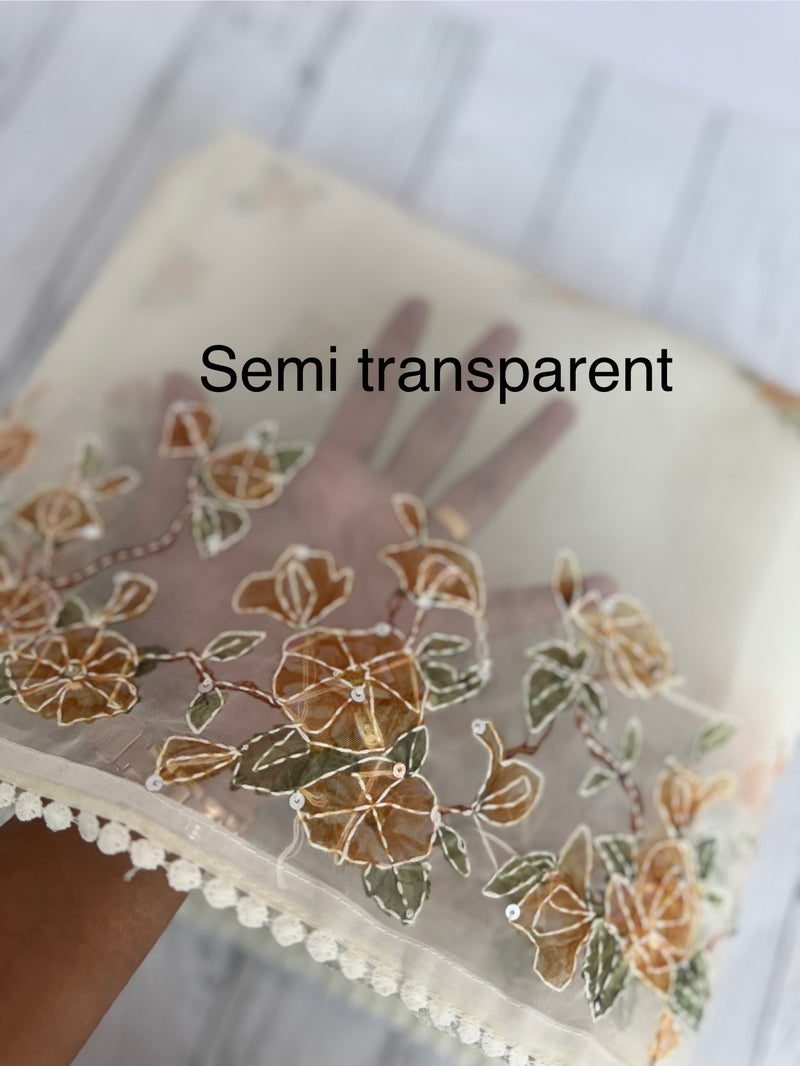 Organza saree with prints & hand embriodery work MS15333