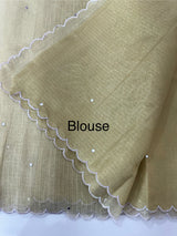 Copper Tissue silk saree with applique work MSH252