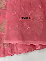 Semi organza saree with tissue applqiue work - MSH931