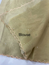 Copper Tissue silk saree with applique work MSH252