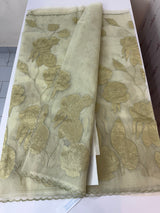 Organza saree with tissue applique work MS5081- Pastel DuskyGreen