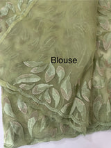 Glass organza saree with thread work- MOS351