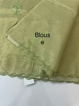 Tissue silk saree with mirror work and scalloped border MTSS432- LightGreen