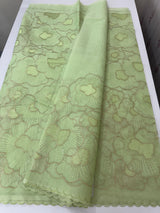 Viscose organza saree with thread work - MSH925 PastelGreen