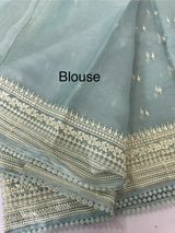 Tissue Organza saree with thread work - MS14798 PastelBlue