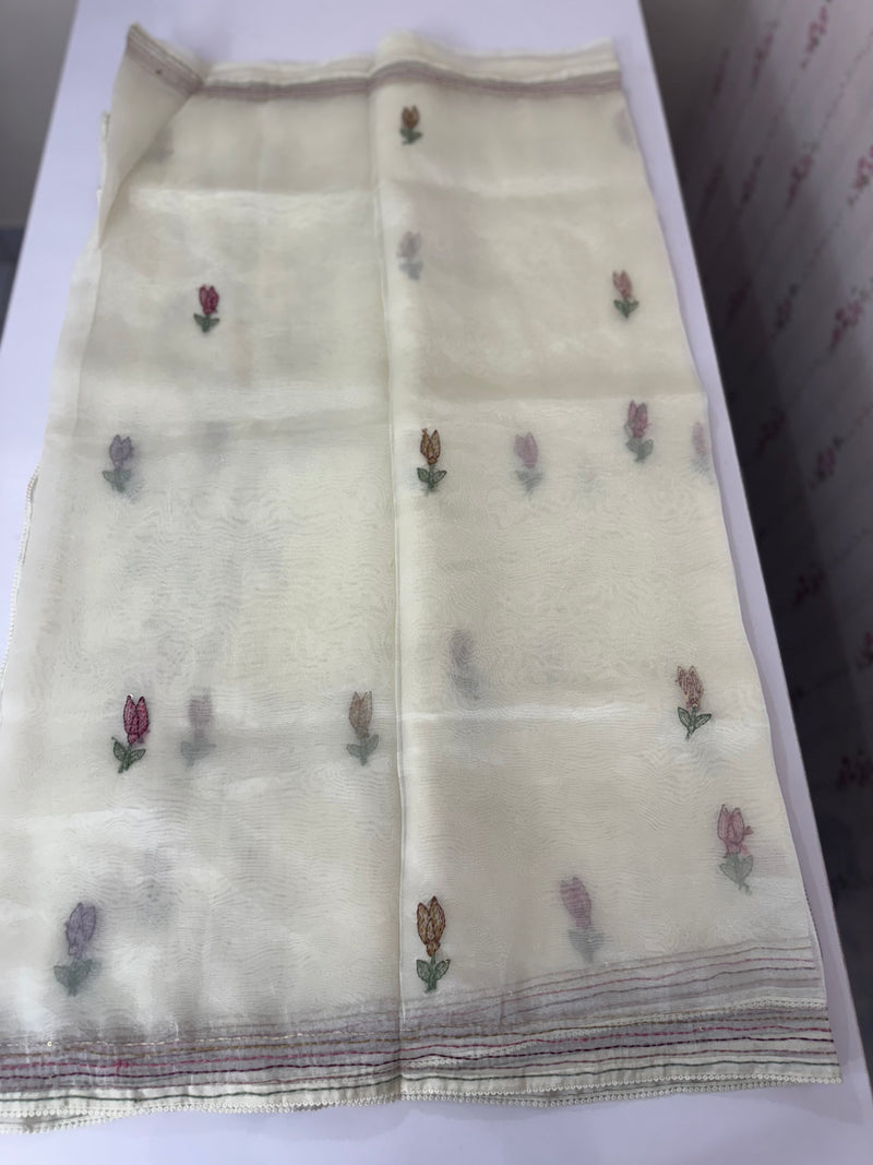 Tissue Organza saree with kanta embriodery MS15600