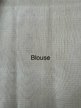 Tissue silk saree with applique work  MSH105