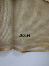 Tissue mix Soft silk saree with applique work MS8146 - Golden