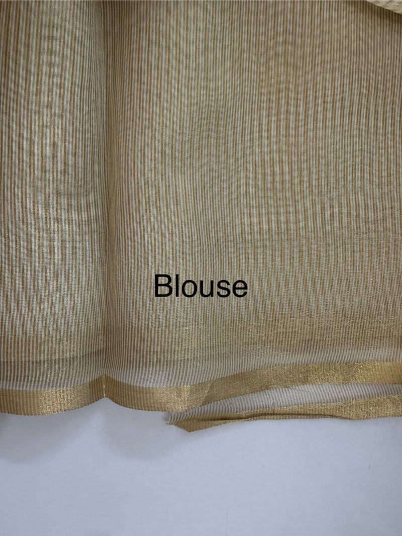 Tissue mix Soft silk saree with applique work MS8146 - Golden