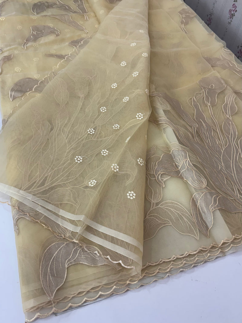 Organza saree with tissue applique work MS5081- Beige
