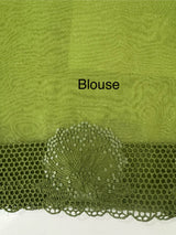 Glass Organza saree with cutwork borders - MSH005