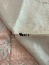 NetKota saree with tissue applique work MS15145- PastelPeach