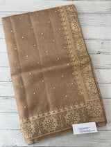 Tissue silk saree with Chikankari embroidery MTTS97(2)