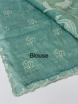 Crush Organza Applique work saree MS14987- Blue
