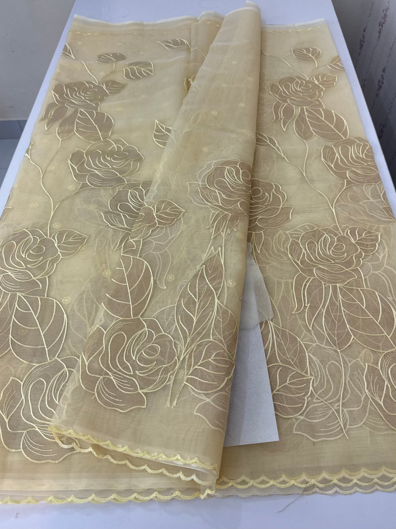 Organza saree with tissue applique work MS5081 - Ivory