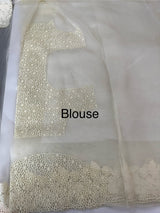 Cutwork Kora Organza saree with full cutwork blouse-  MS14154 Offwhite