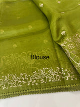 Silk organza saree with aari embroidery - MS14923