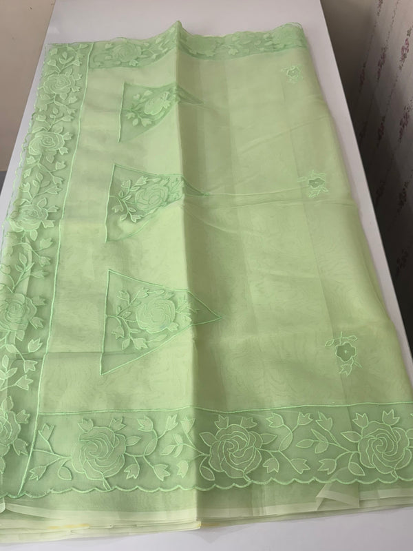 Viscose Organza saree with applique work-MSH101 PistaGreen