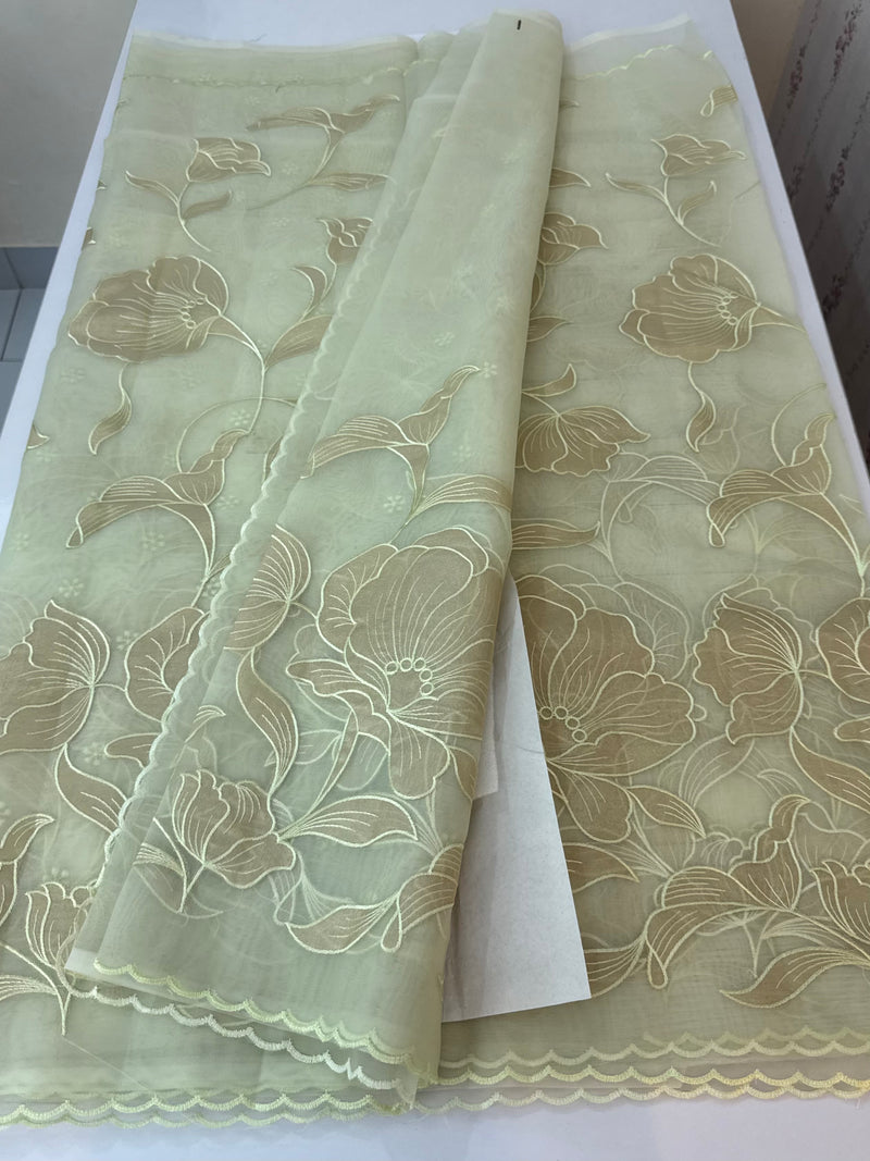Organza saree with tissue applique work MS5081 - Pastel DuskyGreen