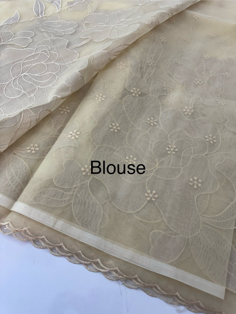 Organza saree with tissue applique work MS5081- Beige