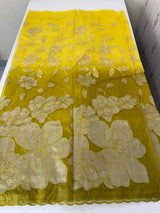 Double shade Semi organza saree with appliqué work - MSH949