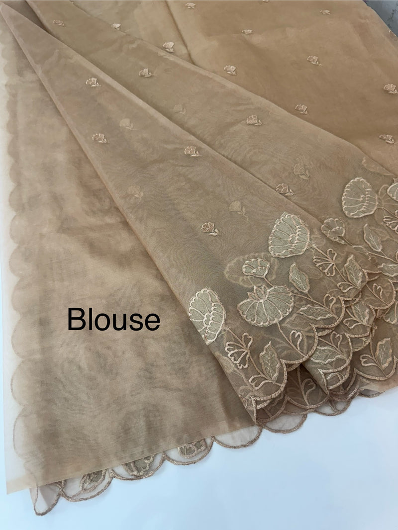 Viscose Organza saree with applique work-MSH103 DarkBeige