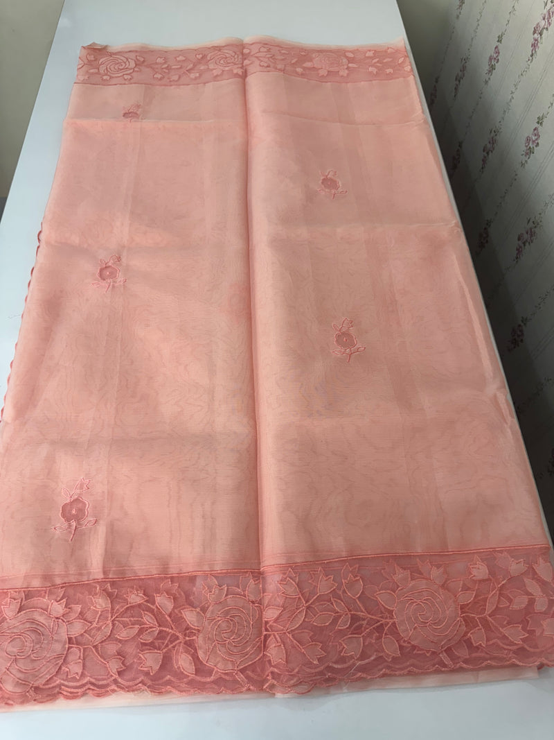 Viscose Organza saree with applique work-MSH101 Peach