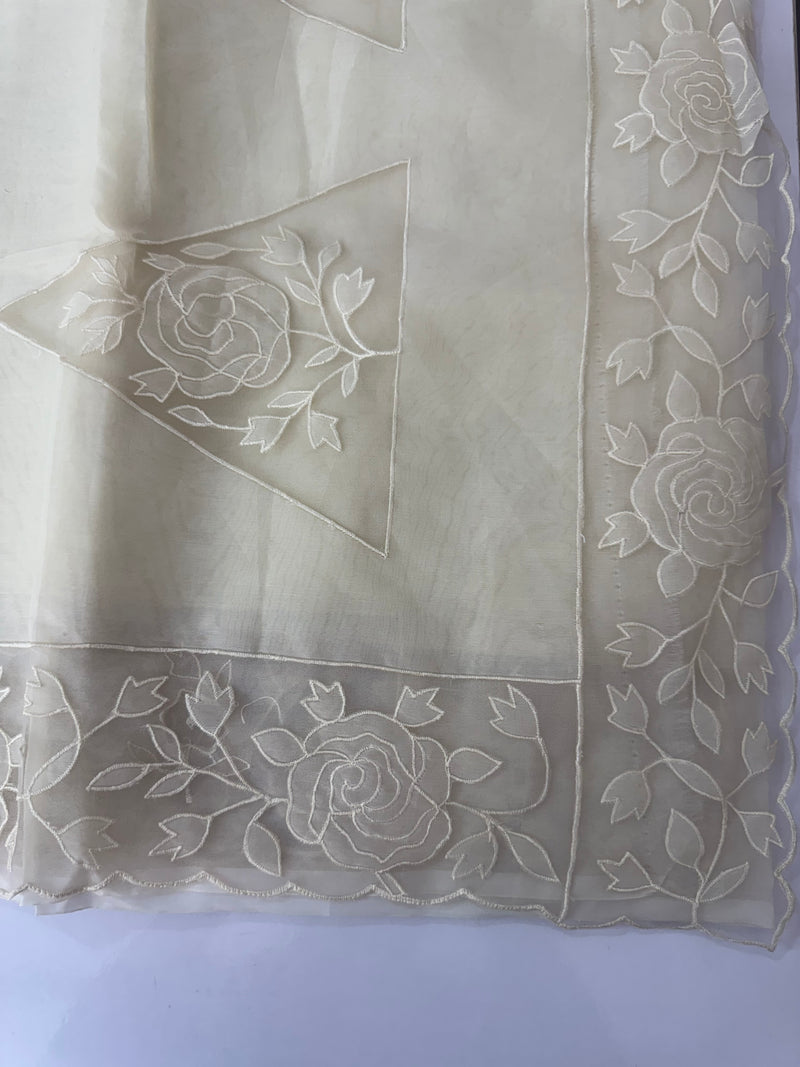 Viscose Organza saree with applique work-MSH101 Beige