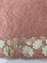 Soft Organza saree with thread work and tissue applique borders - MCW605 PastelPeach