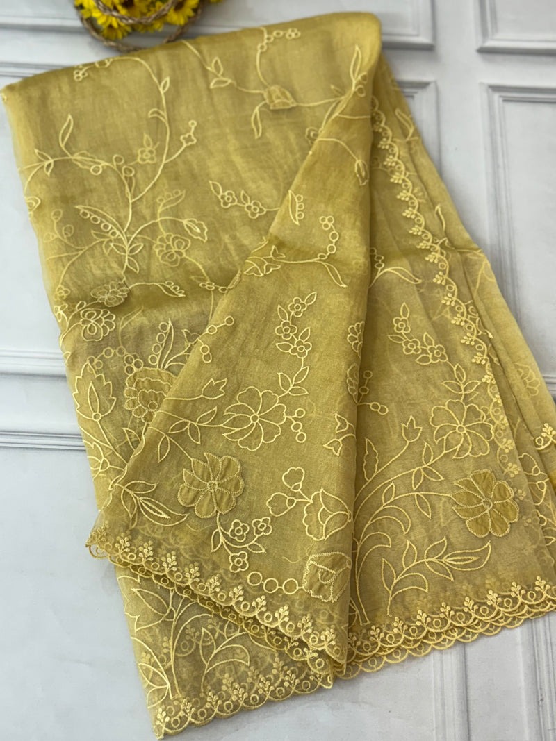 Tissue Organza Applique work saree MS14053