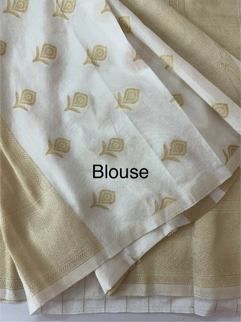 Semi banarasi Georgette saree - MSB8976