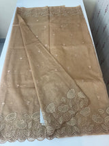Viscose Organza saree with applique work-MSH103 DarkBeige