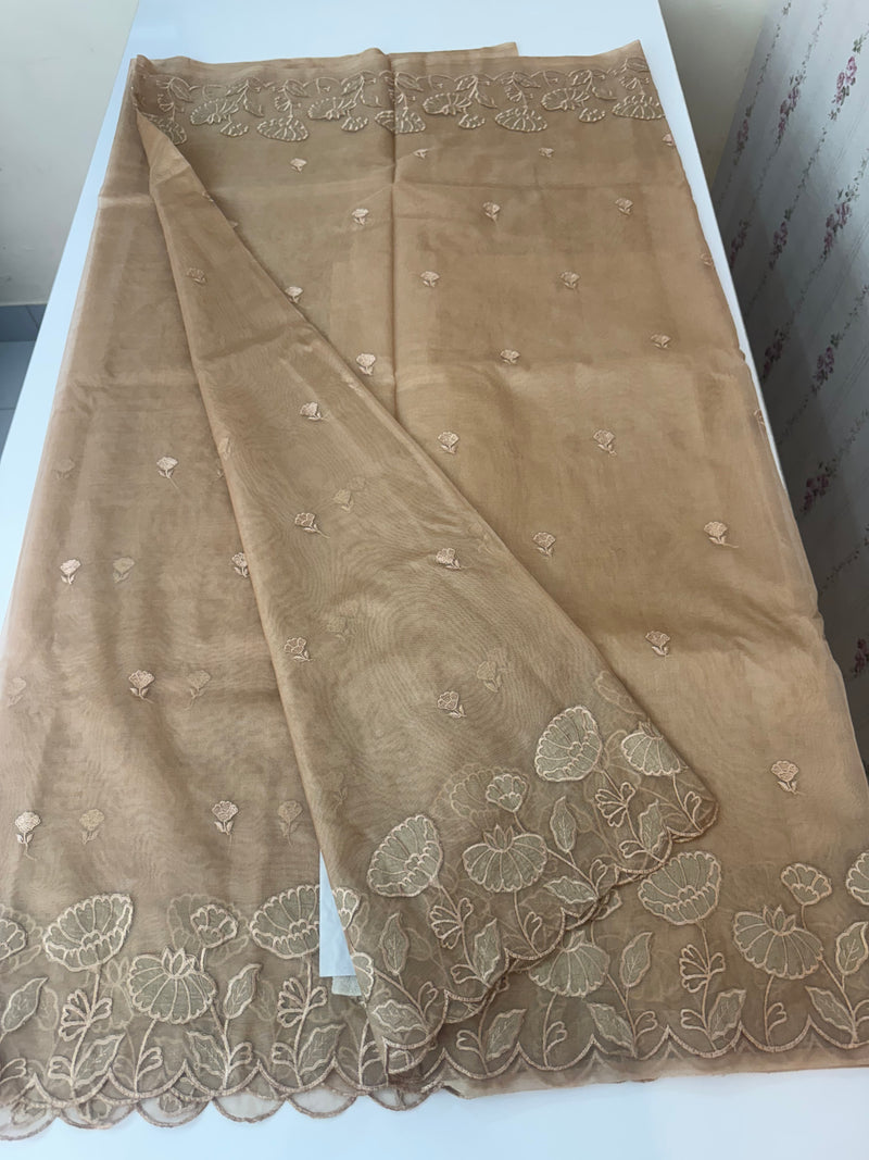 Viscose Organza saree with applique work-MSH103 DarkBeige