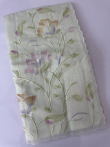 Supernet saree with embroidery and handpainting MSH104- PastelGreen