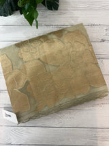 Organza saree with tissue applique work MS5081 - Pastel DuskyGreen